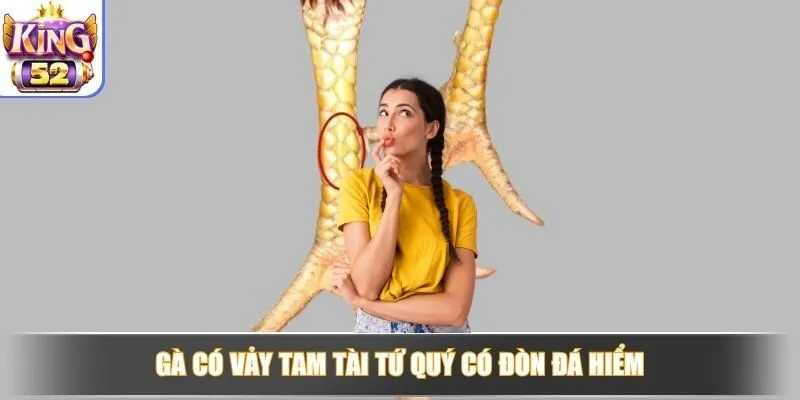 Gà có vảy Tam Tài Tứ Quý có đòn đá hiểm