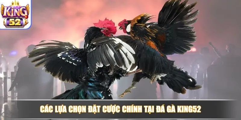 Khám phá các lựa chọn đặt cược hấp dẫn, tỷ lệ cược cao, kịch tính