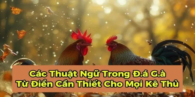 Thuật ngữ trong đá gà được quy định tại các sới
